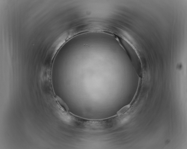 X0000090911481200707301423