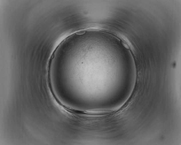 X0000090911483200707301423