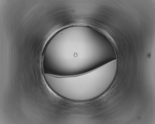 X0000090911484200707301423