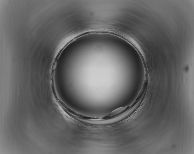 X0000090911485200707301423