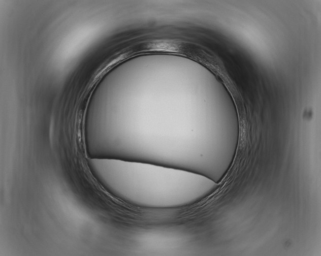 X0000090911487200707301423