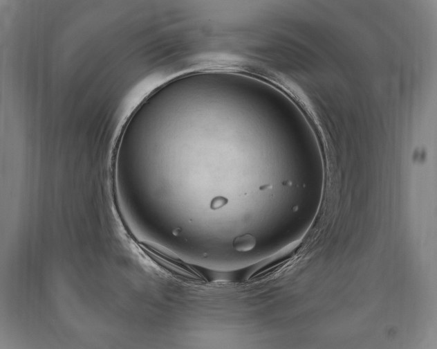 X0000090911488200707301423