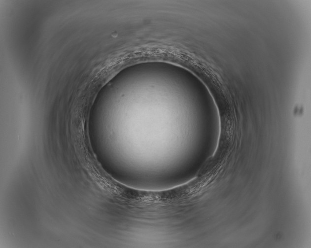 X0000090911489200707301423
