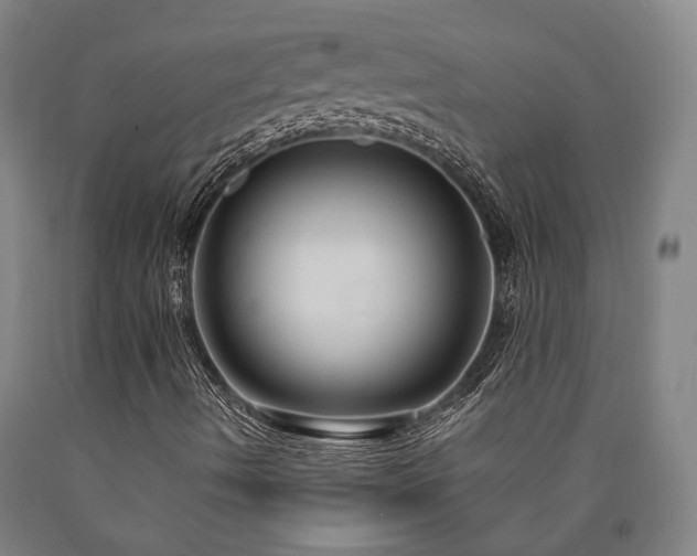 X0000090911490200707301423