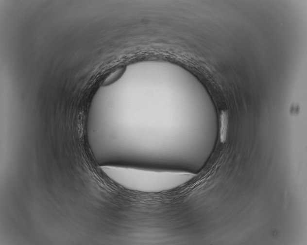 X0000090911491200707301423
