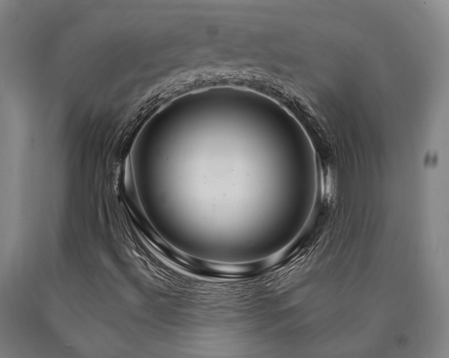 X0000090911492200707301423