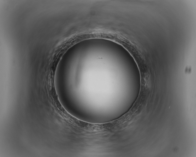 X0000090911493200707301423