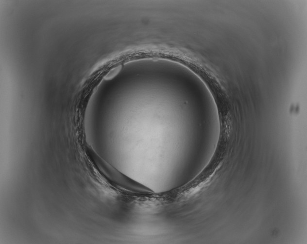 X0000090911494200707301423