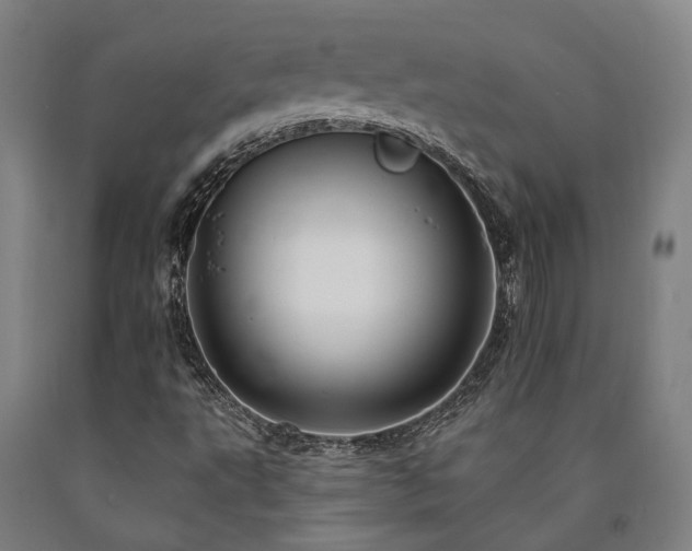 X0000090911495200707301423