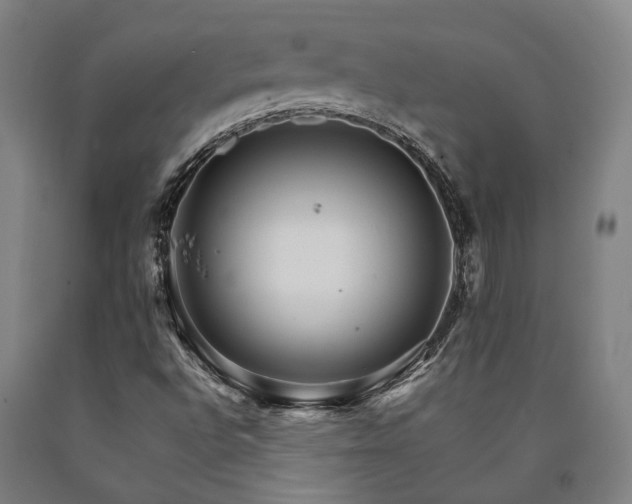 X0000090911496200707301423