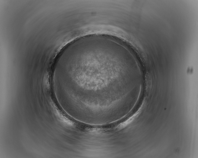 X0000090911497200707301423