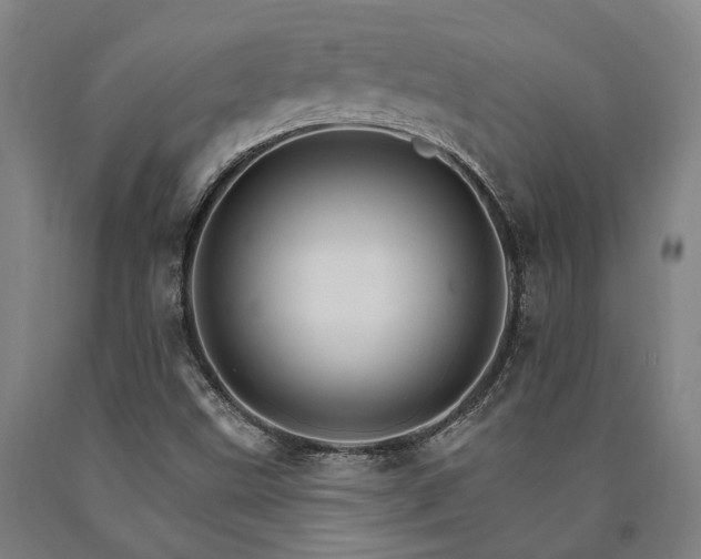 X0000090911499200707301423