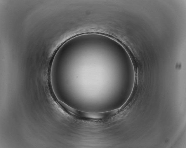 X0000090911500200707301423