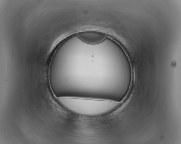 X0000090911501200707301423