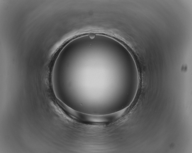 X0000090911502200707301423