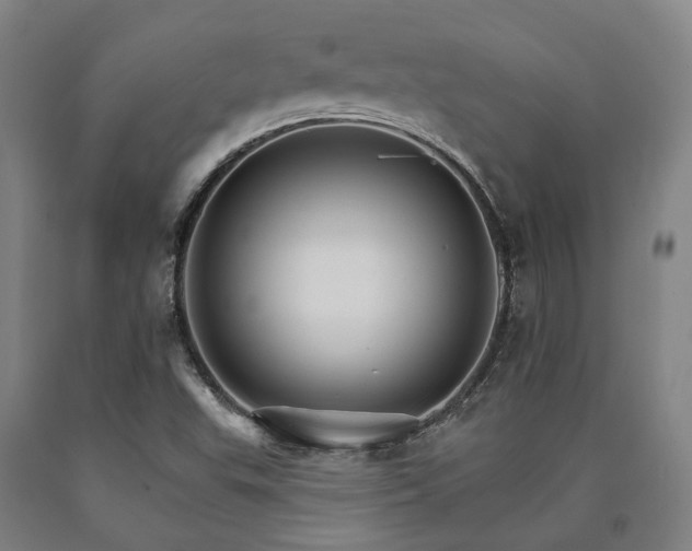 X0000090911503200707301423