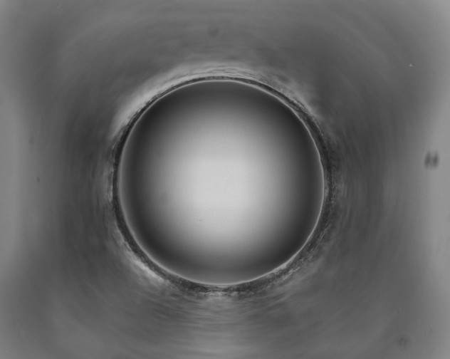 X0000090911504200707301423