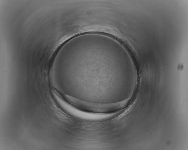 X0000090911505200707301423