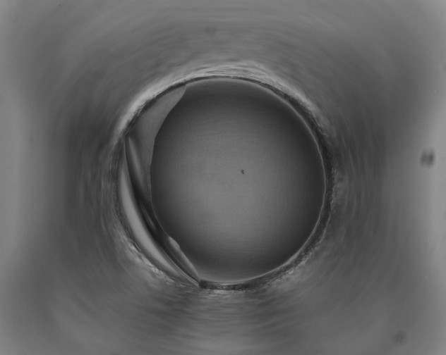 X0000090911506200707301423