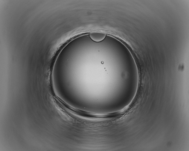 X0000090911507200707301423