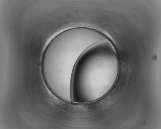 X0000090911508200707301423