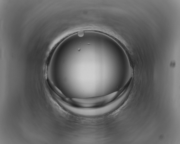X0000090911510200707301423