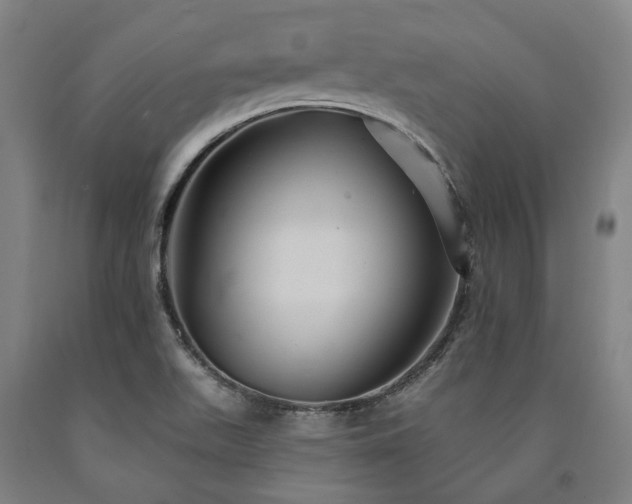 X0000090911511200707301423