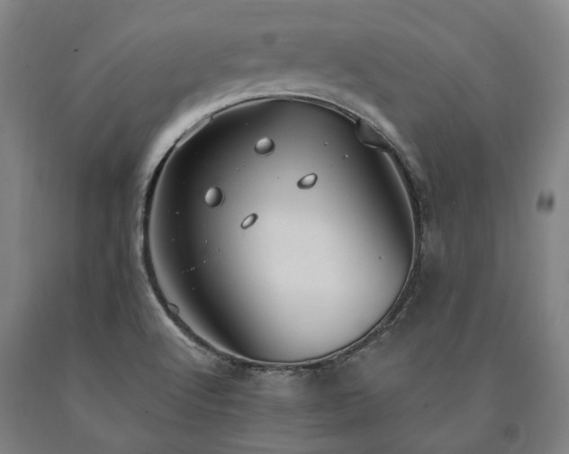 X0000090911512200707301423