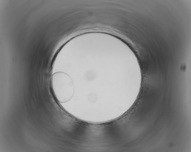 X0000090911514200707301423