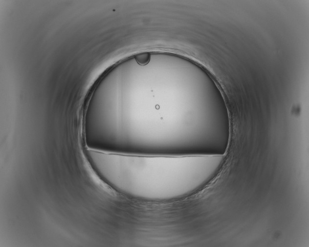 X0000090911515200707301423