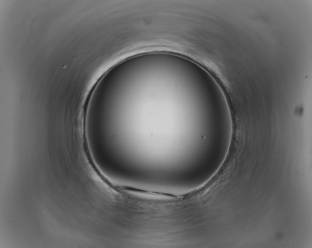 X0000090911516200707301423