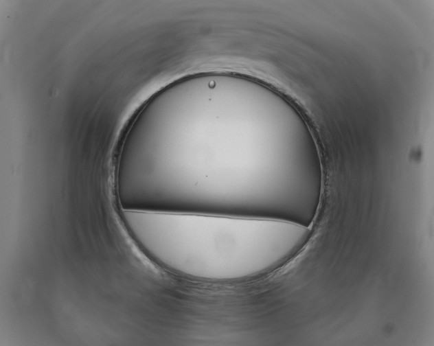X0000090911517200707301423