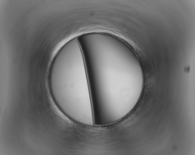 X0000090911518200707301423