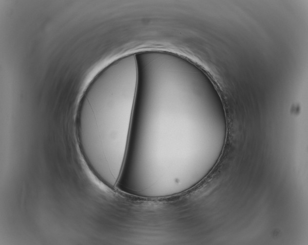 X0000090911519200707301423