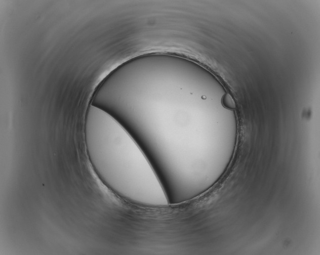 X0000090911521200707301423