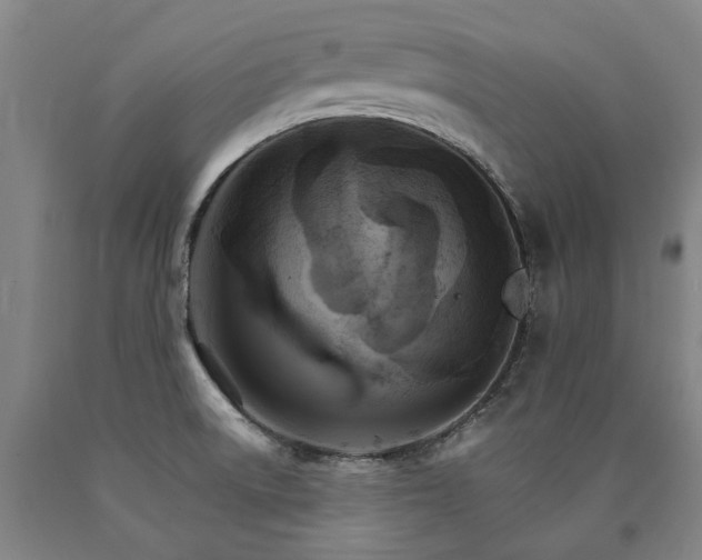 X0000090911522200707301423