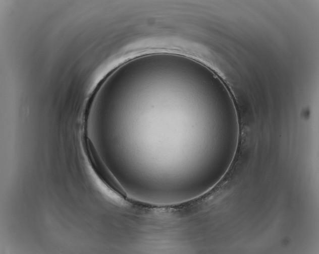 X0000090911523200707301423