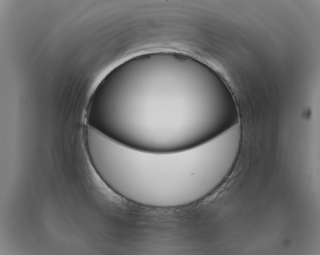 X0000090911524200707301423