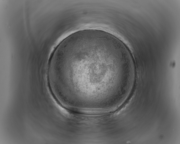 X0000090911525200707301423