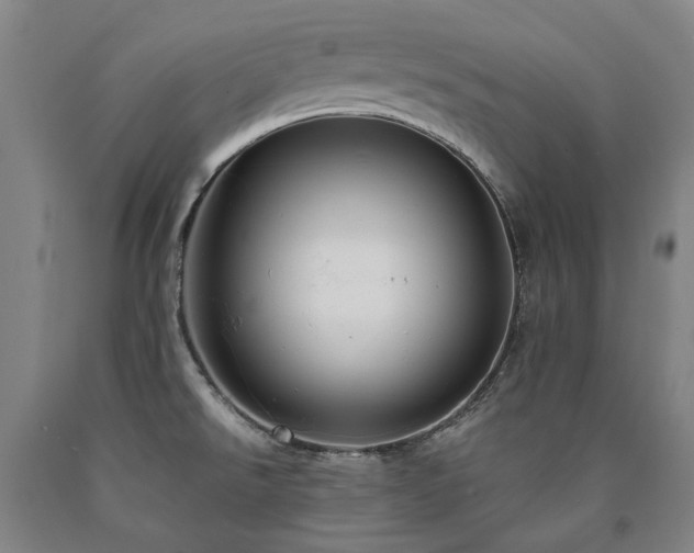 X0000090911526200707301423
