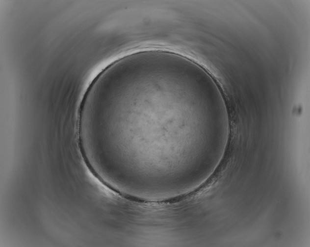 X0000090911527200707301423