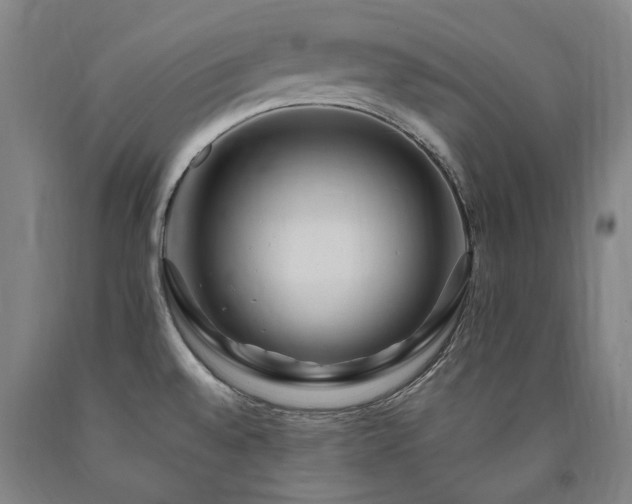 X0000090911528200707301423