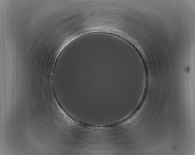 X0000090911529200707301423