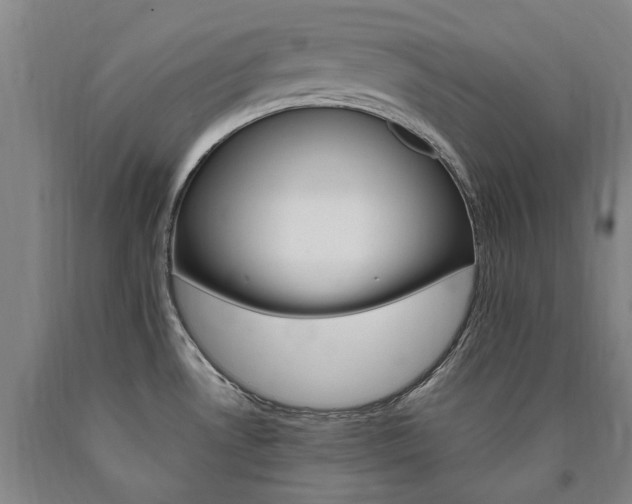 X0000090911530200707301423
