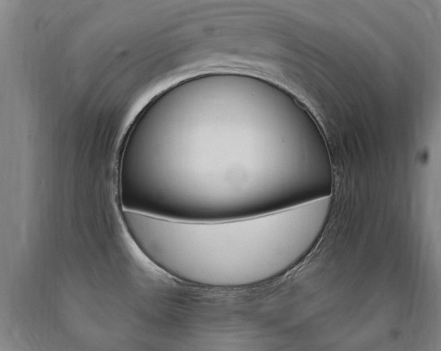 X0000090911531200707301423