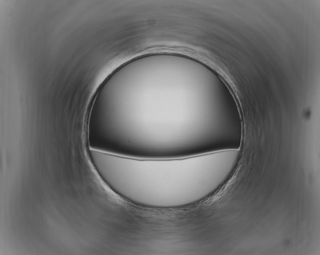 X0000090911533200707301423