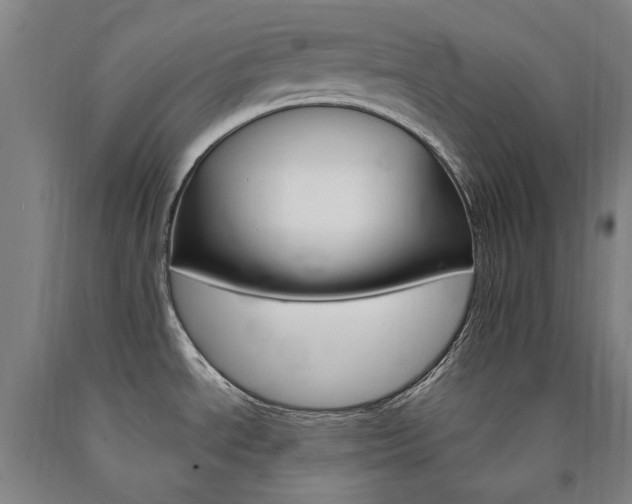 X0000090911534200707301423