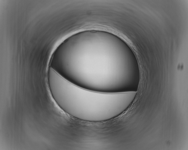 X0000090911536200707301423