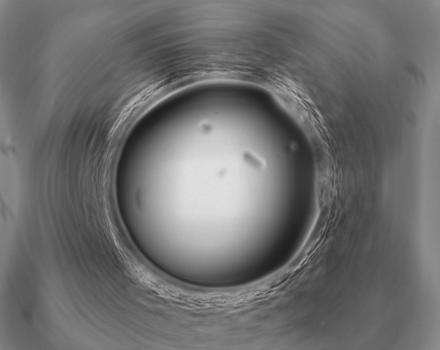 X0000090910001200708061531