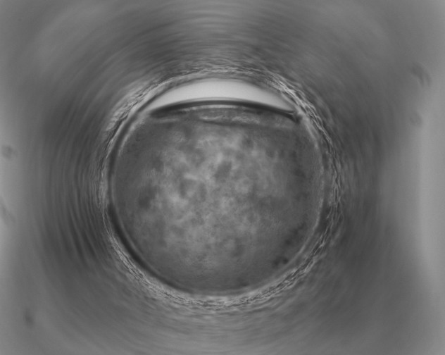 X0000090910002200708061531